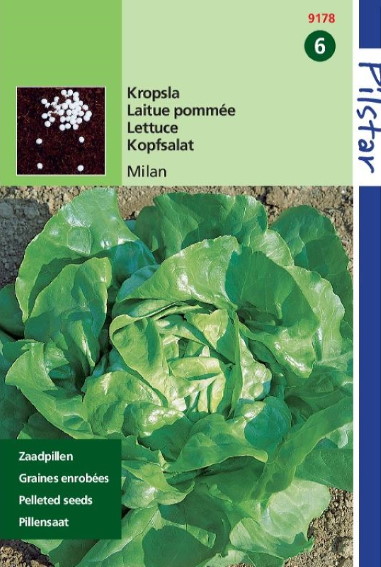 Kropsla, Botersla Milan Zaadpillen (Lactuca sativa) 80 zaden